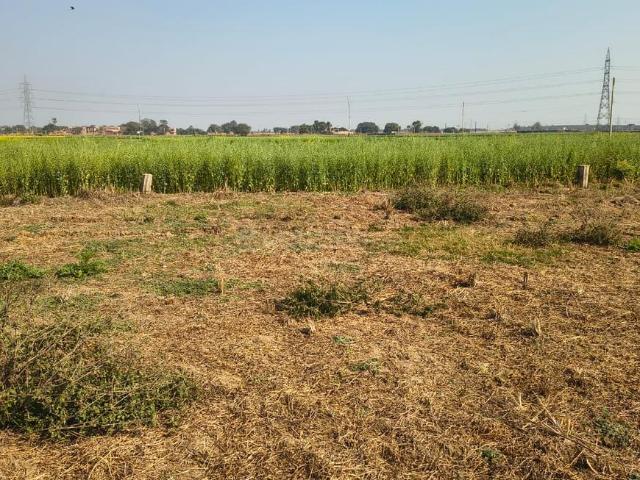 Land for sale in Bihar