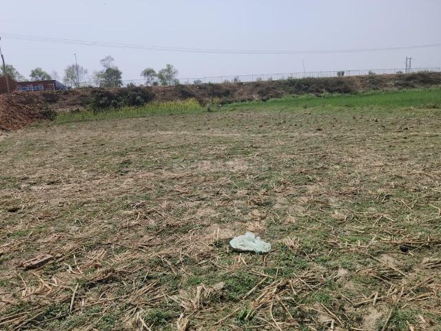 Land for sale in Bihar
