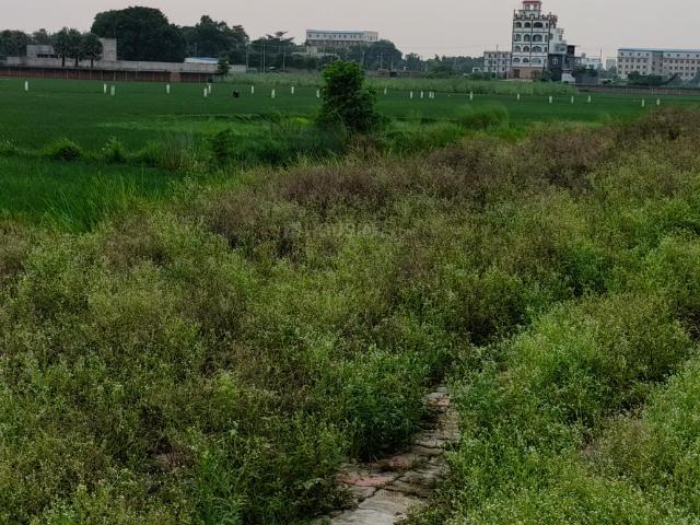 Land for sale in Bihar
