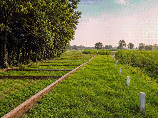 Land for sale in Bihar