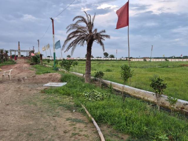 Land for sale in Mathara, Arunachal Pradesh