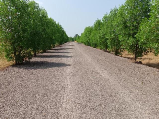 Land for sale in Chhattisgarh
