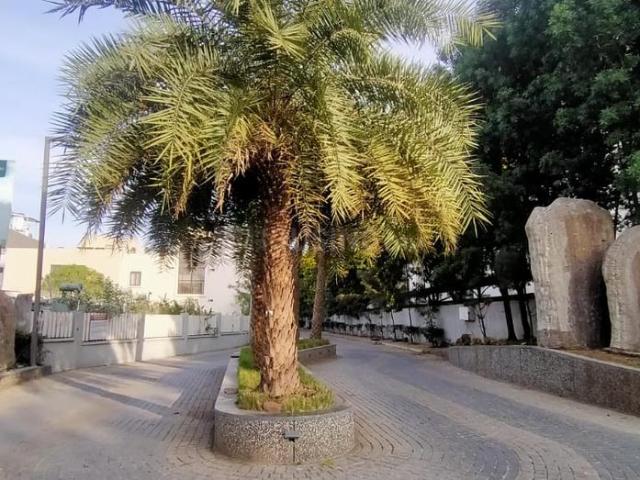 Land for sale in Madya