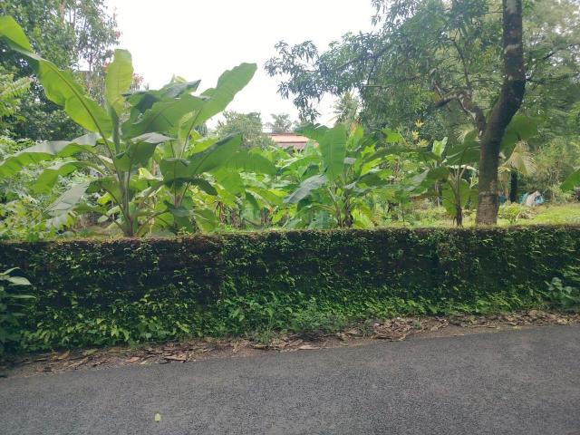 Land for sale in Kerala