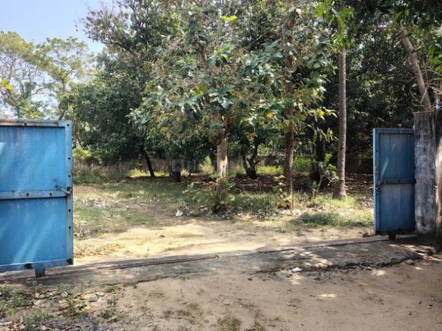 Land for sale in Sholinganallur - Chennai, Tamil Nadu