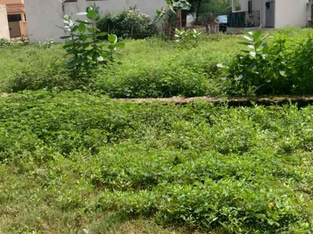 Land for sale in Durg, Chhattisgarh
