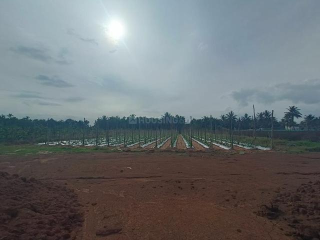 Land for sale in Nelamangala, Karnataka