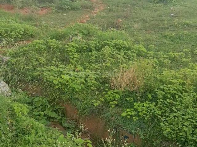 Land for sale in Nelamangala, Karnataka