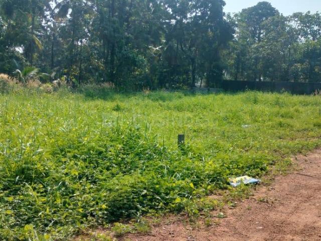 Land for sale in Thrissur, Kerala