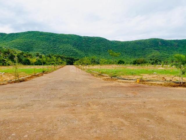 Land for sale in Gandhi Nagar Colony, Nellimarla