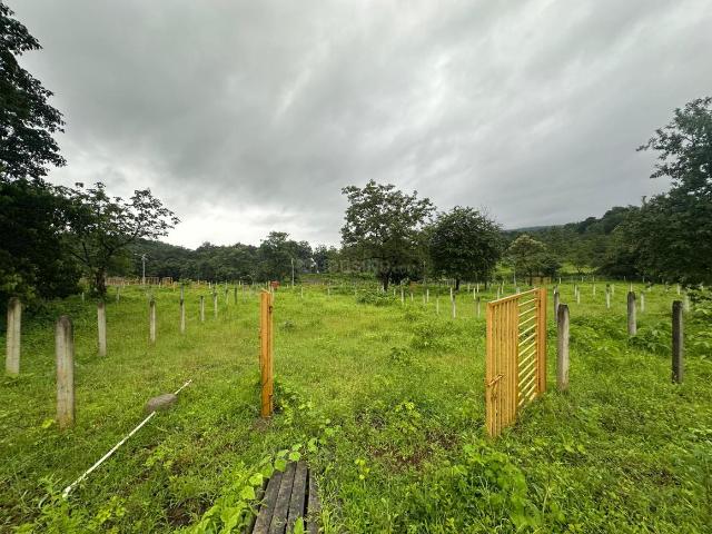 Land for sale in Nera, National Capital Territory Of Delhi