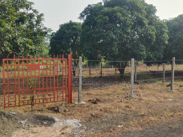 Land for sale in Nera, National Capital Territory Of Delhi
