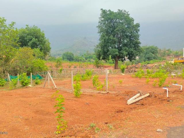 Land for sale in Nera, National Capital Territory Of Delhi