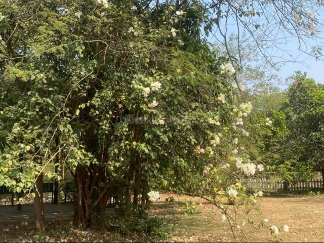 Land for sale in Nera, National Capital Territory Of Delhi