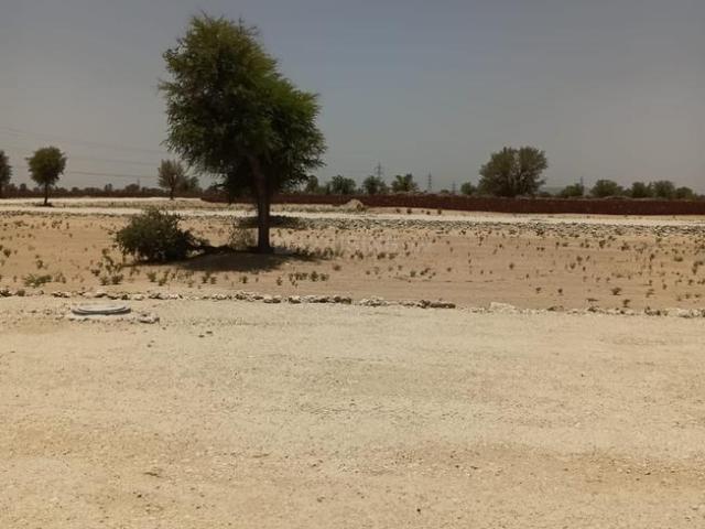 Land for sale in Rajasthan