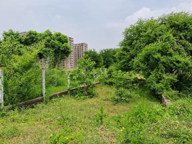 Land for sale in Gujarat