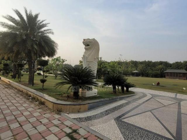 Land for sale in Punjab