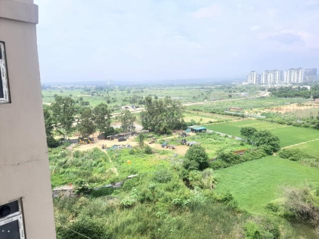 Land for sale in Punjab