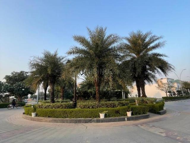 Land for sale in Punjab