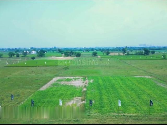 Land for sale in Punjab
