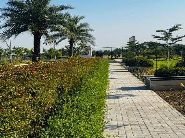 Land for sale in Punjab