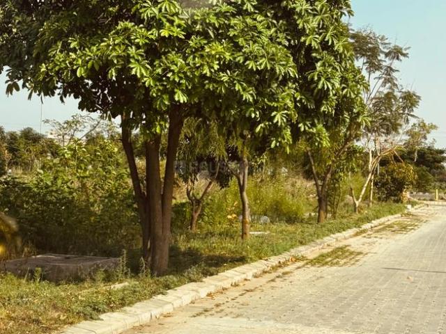 Land for sale in Punjab