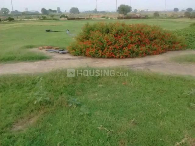 Land for sale in Punjab