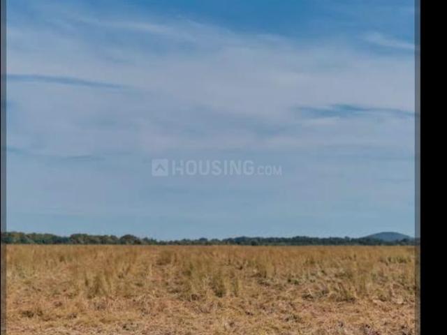 Land for sale in Punjab