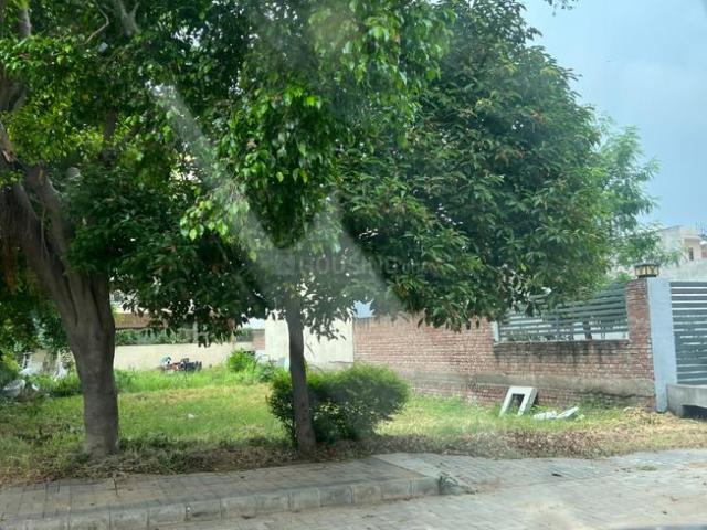 Land for sale in Punjab