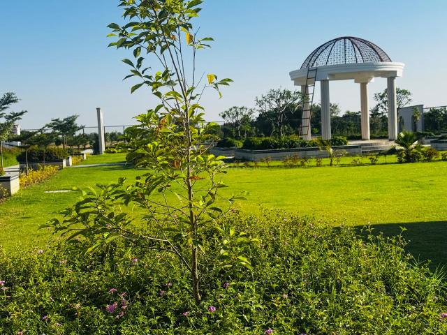 Land for sale in Punjab