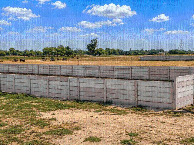 Land for sale in Mohanlalganj, Arunachal Pradesh