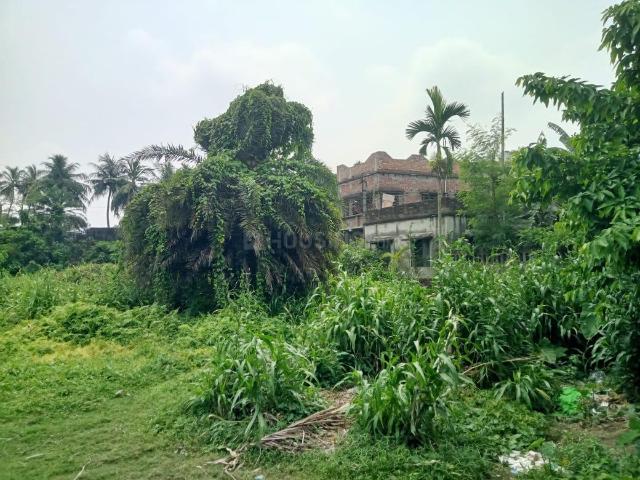 Land for sale in Belgharia, North Dumdum