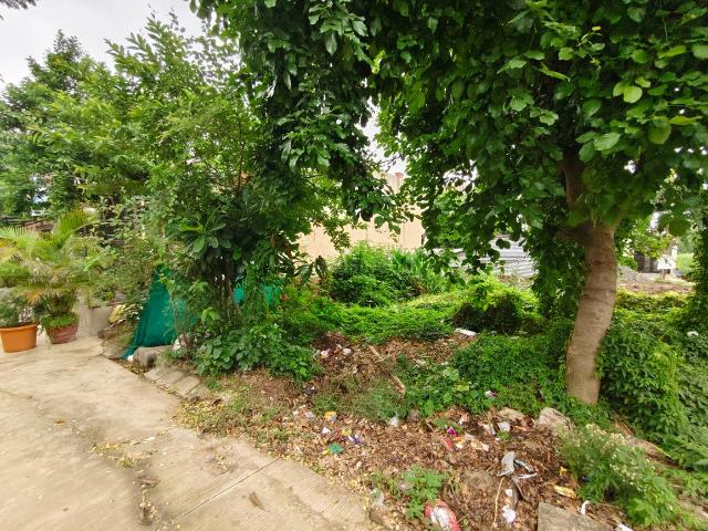 Land for sale in Madya