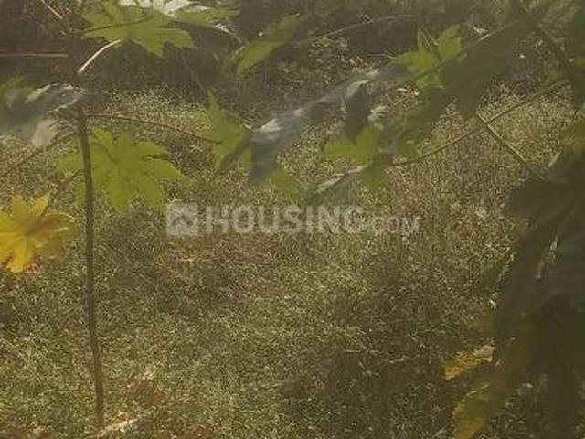 Land for sale in Madya