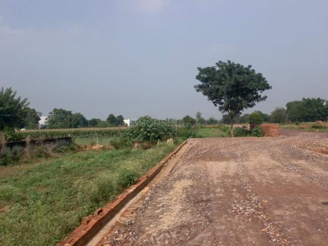 Land for sale in Gautam Buddha Nagar, Uttar Pradesh