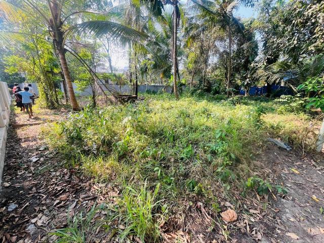 Land for sale in Kerala