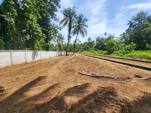 Land for sale in Kalikulangara, North Paravur