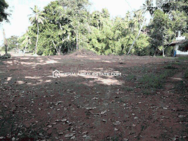 Land for sale in Palakkad, Kerala