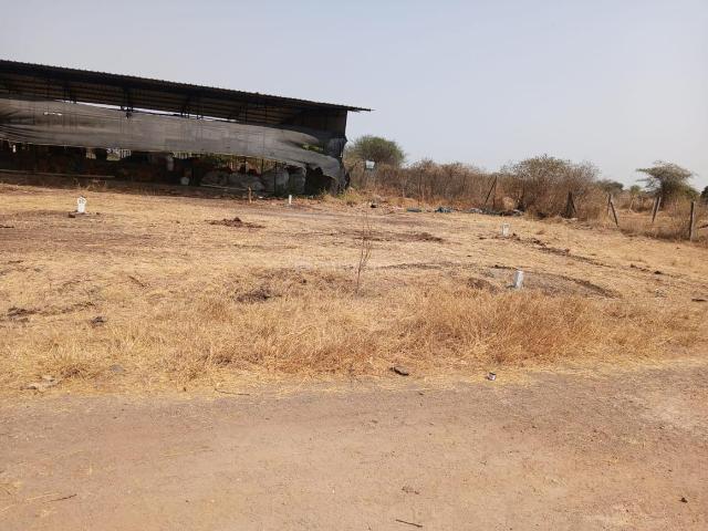 Land for sale in Ojhar, National Capital Territory Of Delhi