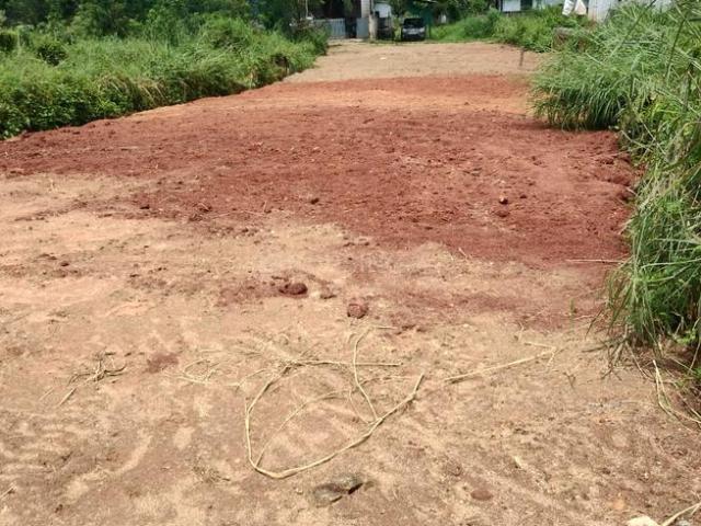 Land for sale in Olavakkode, Palakkad
