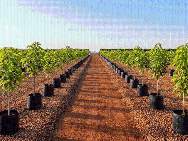 Land for sale in Raipur, Chhattisgarh