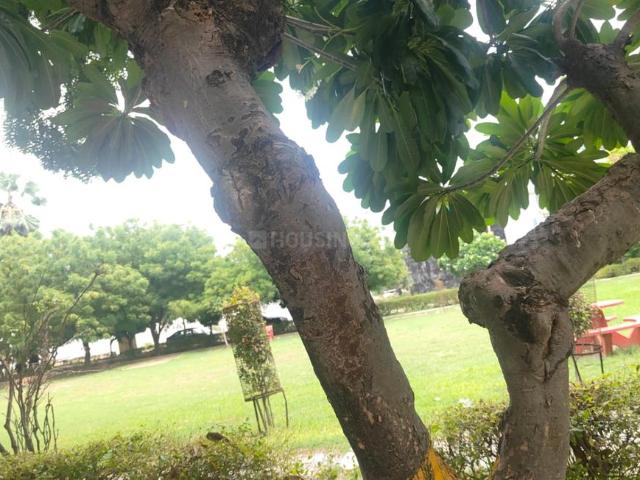 Land for sale in Arunachal Pradesh