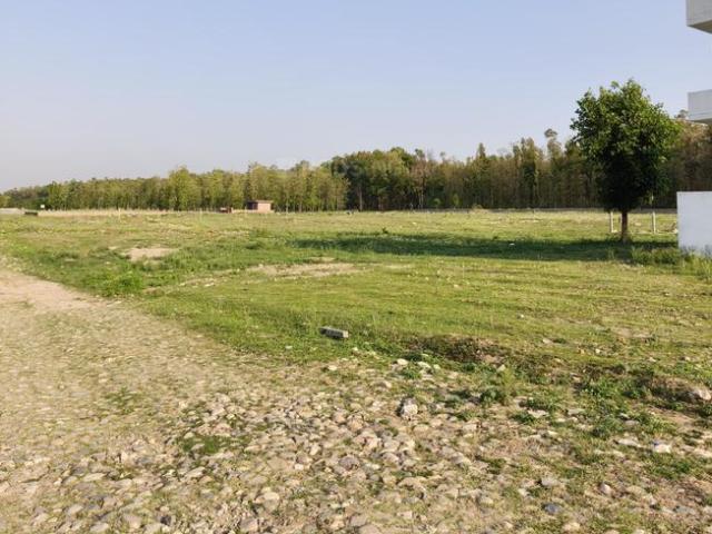 Land for sale in Kedarpur, Uttarakhand
