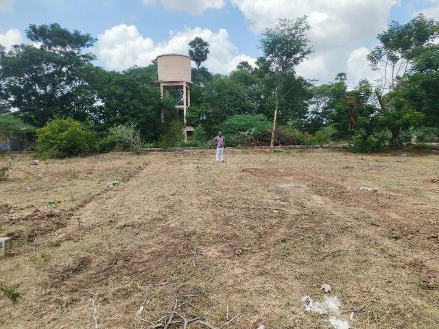 Land for sale in Nellikuppam, Chengalpattu