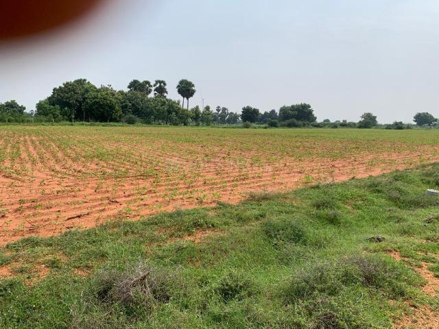Land for sale in Ottappidaram, Tamil Nadu