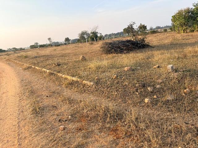 Land for sale in Ranga Reddy, Padakal