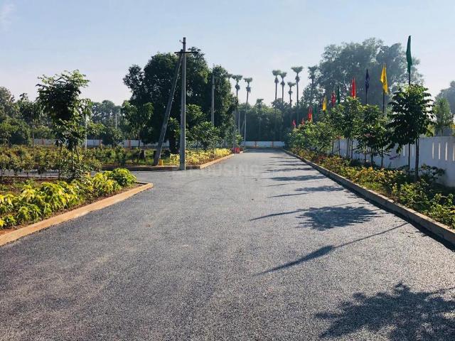 Land for sale in Padmanabham, Andhra Pradesh