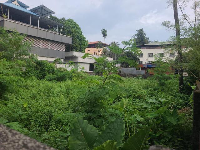 Land for sale in Cochin, Kerala