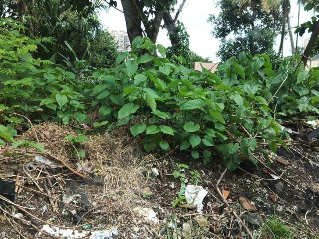 Land for sale in Cochin, Kerala