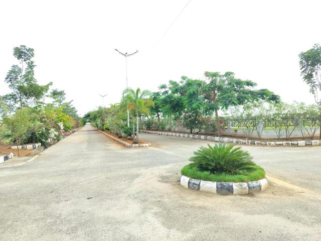 Land for sale in Palasamudram, Sri Sathya Sai